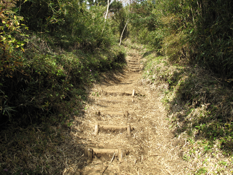 20181025hike (55)